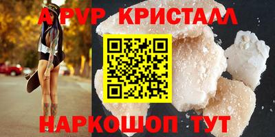 стаф Новокубанск