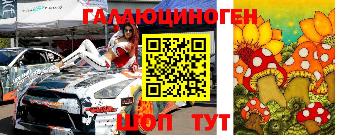 Псилоцибиновые грибы Psilocybe Севастополь